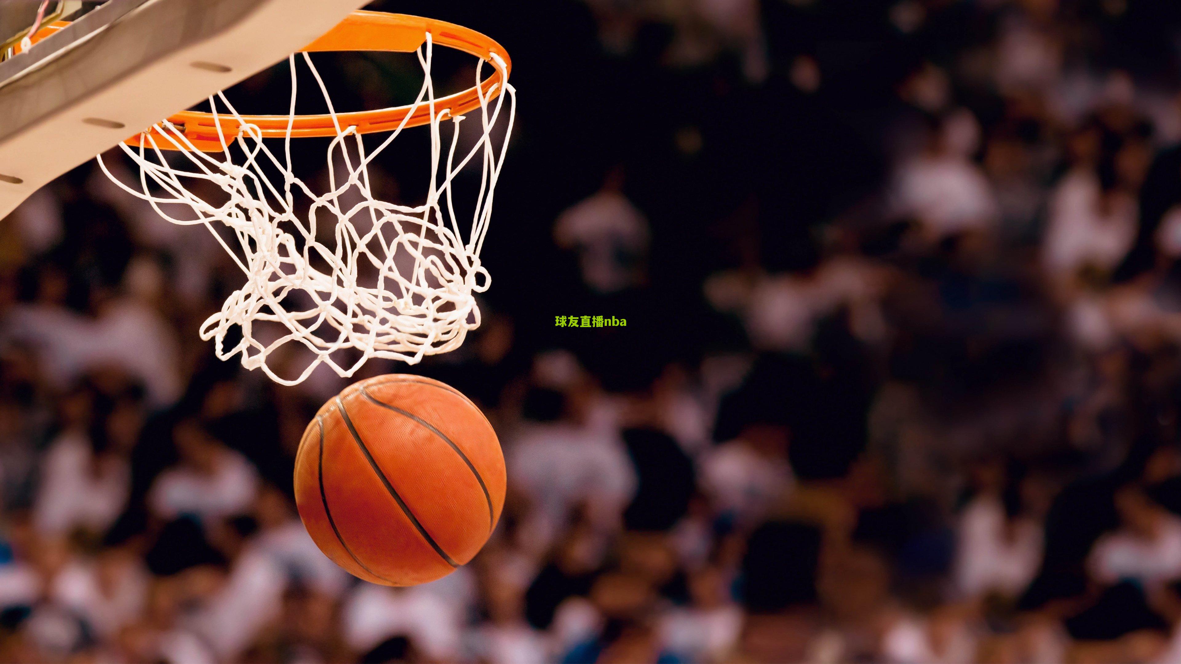霍勒迪兄弟的传奇之路,家庭力量铸就NBA非凡成就